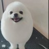 frozexx