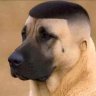 dsgsdfdsfsdd