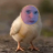 qwertin1low